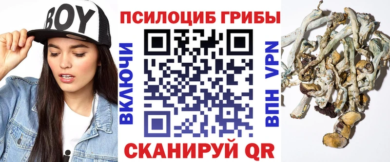 Купить закладки  Орёл  Псилоцибиновые грибы мухоморы 